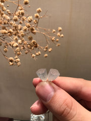 Icy Jade Earrings - Lotus (EA346)