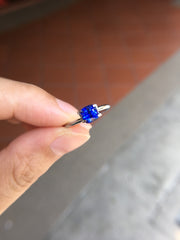 Natural Blue Sapphire (Unheated) (GE056)