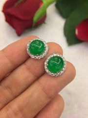 Green Jade Earrings - Cabochon (EA270)
