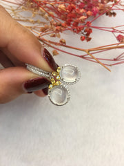 Glassy Variety Jade Earrings - Cabochons (EA228)