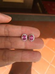 Natural Pink Sapphire Earrings (Unheated) (GE028)