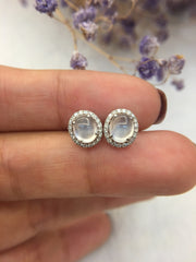 Glassy Variety Jade Earrings - Cabochon (EA211)